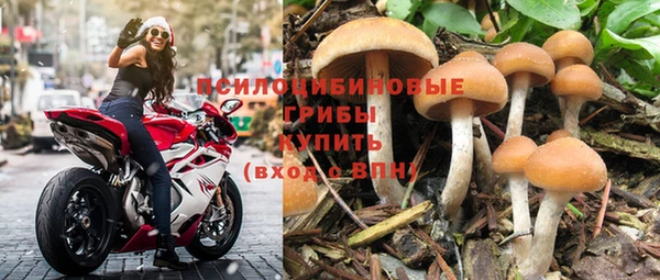 стаф Баксан