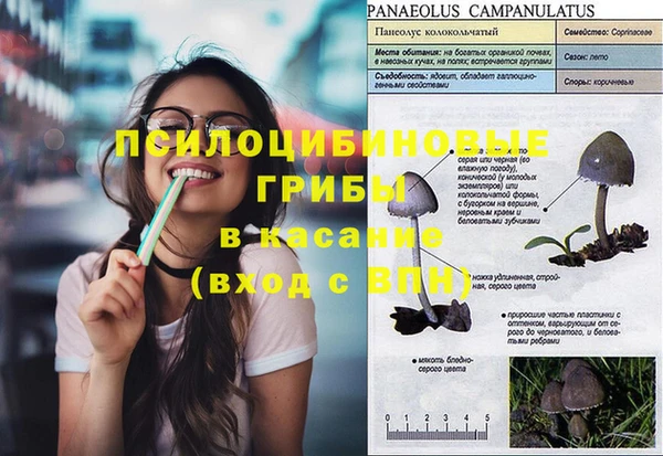 ECSTASY Балахна